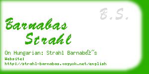 barnabas strahl business card